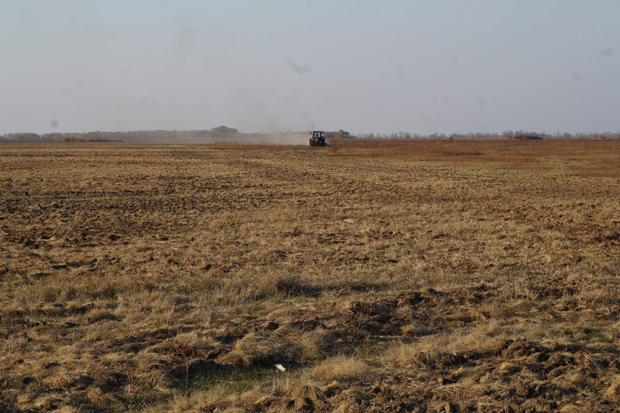 Кикинђанина скупо коштало  уништавање станишта: Потањирао пашњаке, па платио 100.000 динара